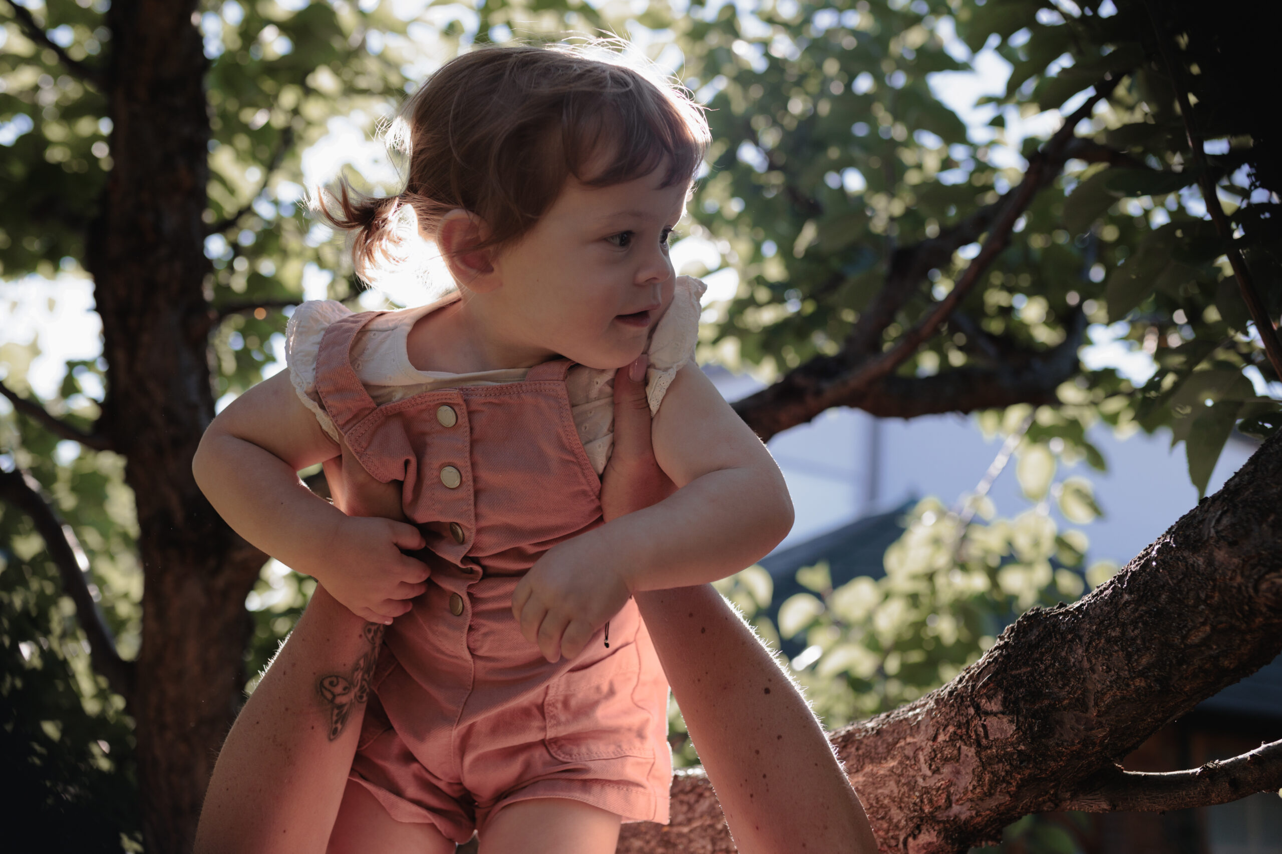 Ein Kleinkind in sommerlicher rosa Latzhose sitzt, gestützt durch die Hände der Mutter, auf einem dicken Ast in der Baumkrone eines Baumes, von hinten scheint die Sonne durch die Blätter.